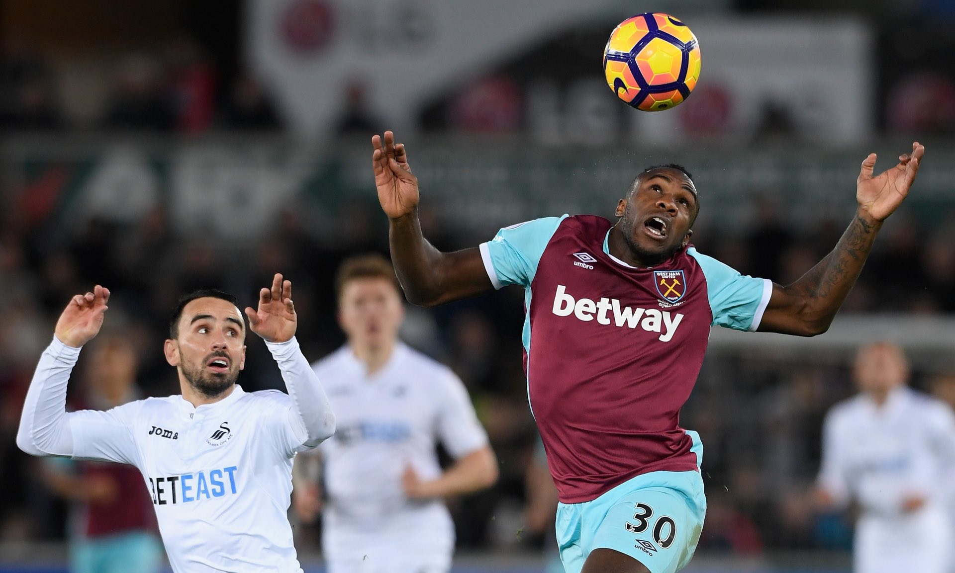 展示他的谈 展示他的谈