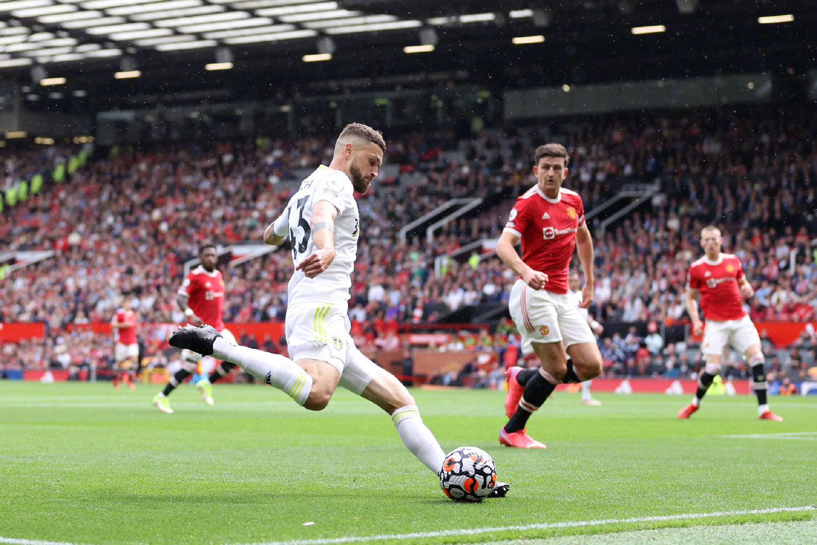 目前完全没 目前完全没